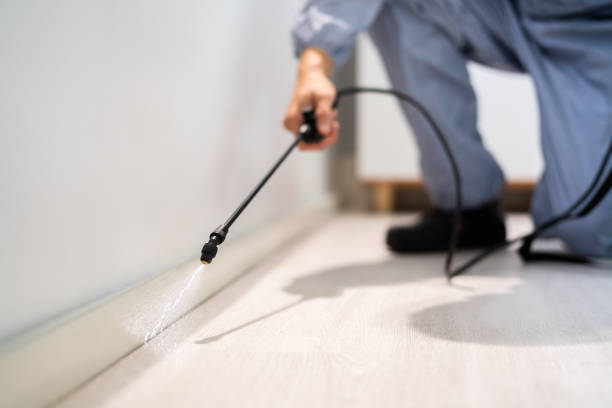 Rodent Entry Point Assessment in North Bend