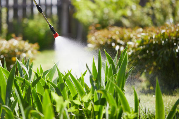 Tamper-Resistant Bait Stations for Rodents in North Bend