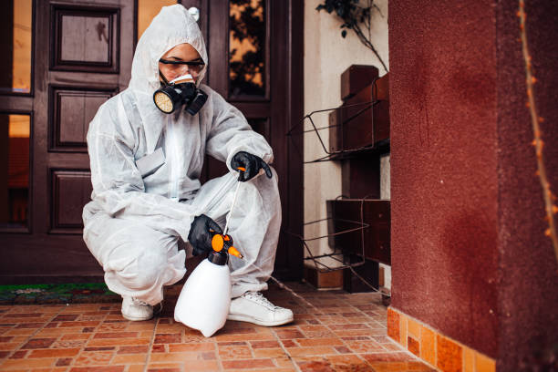 Attic and Crawl Space Rodent Treatment in North Bend